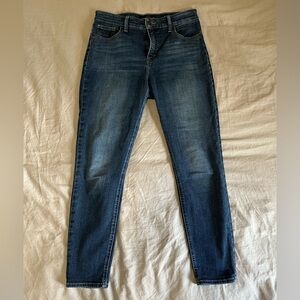 Lucky Brand Bridgette Skinny Jeans